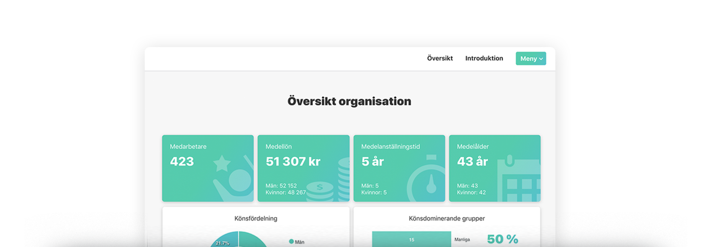 Lönekartläggning